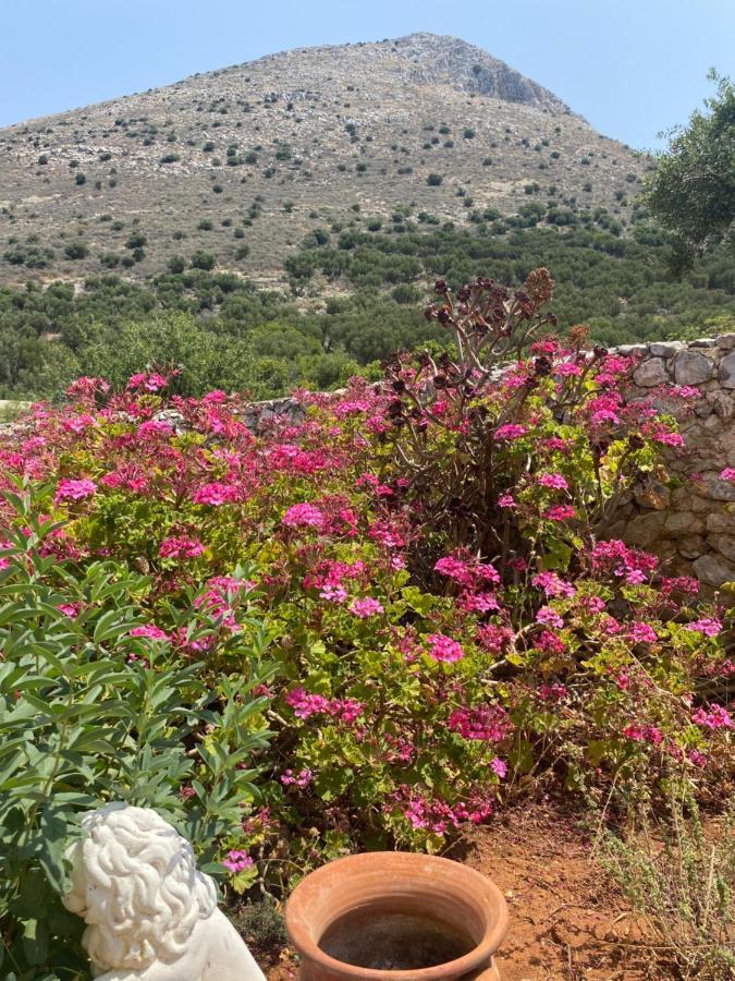 Terra Petra Mani Διαμέρισμα Κοίτα Εξωτερικό φωτογραφία